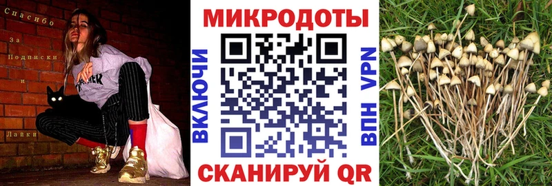 кракен зеркало  купить закладку  Тула  Галлюциногенные грибы GOLDEN TEACHER 
