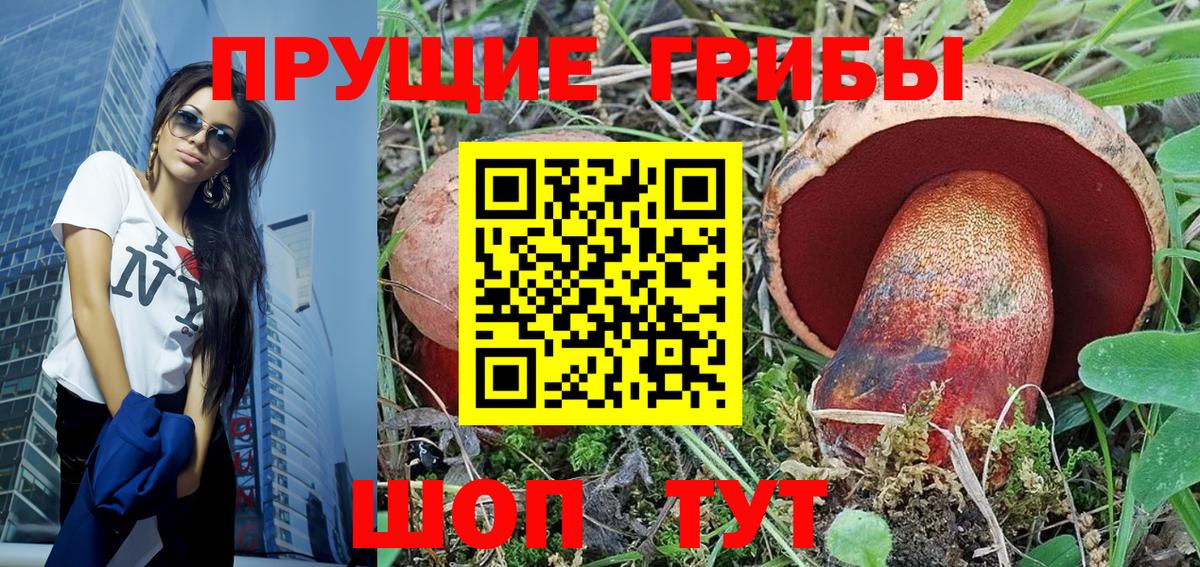 Галлюциногенные грибы MAGIC MUSHROOMS  даркнет сайт  Тула  Вход с VPN  Псилоцибиновые грибы мицелий 
