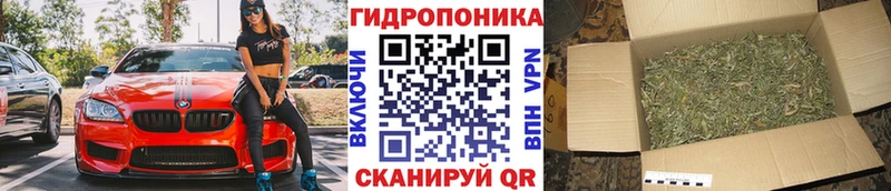 Шишки марихуана AK-47  даркнет сайт  Тула 