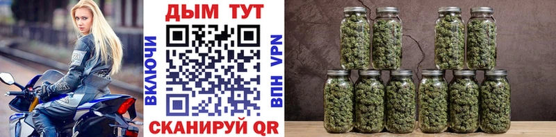 Конопля семена Тула